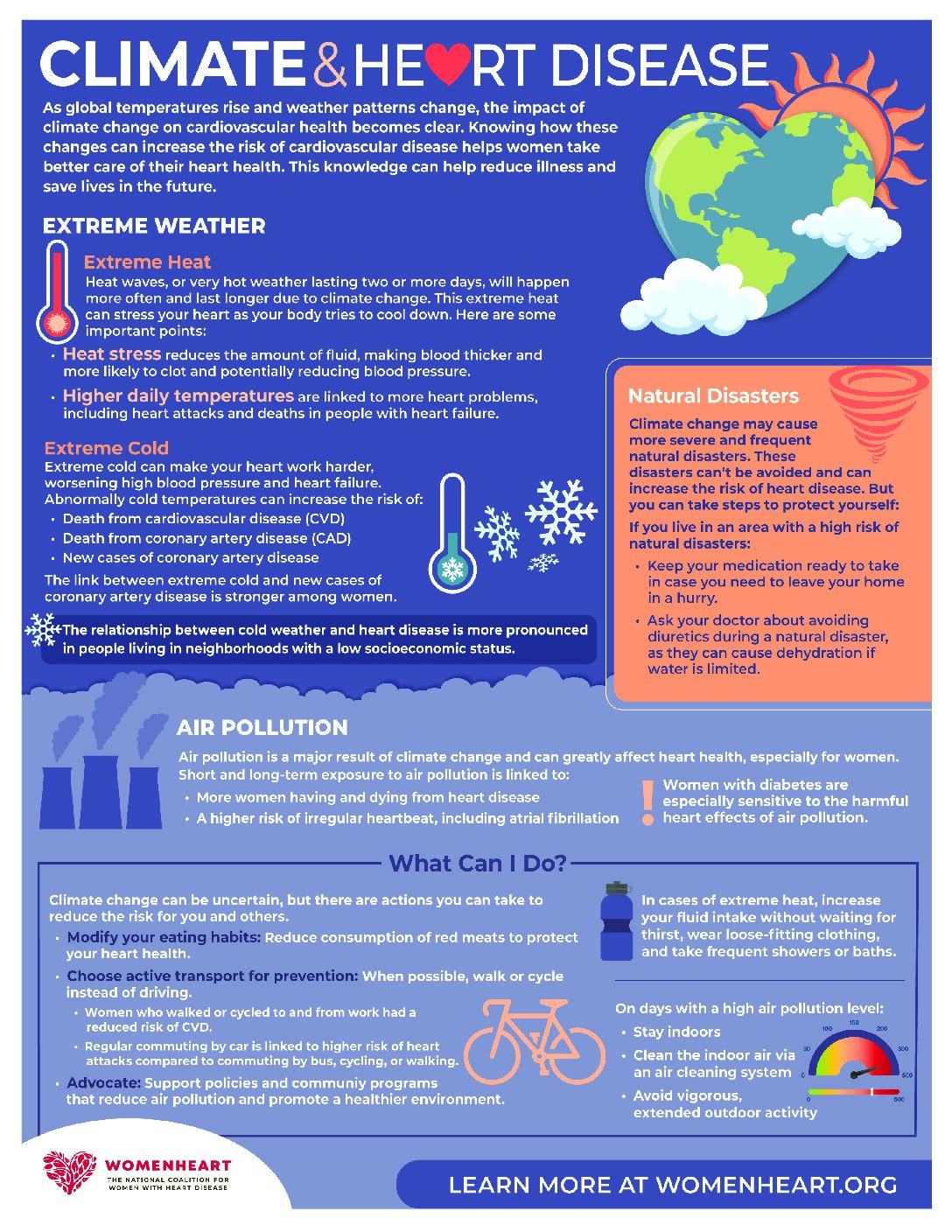 Climate Infographic