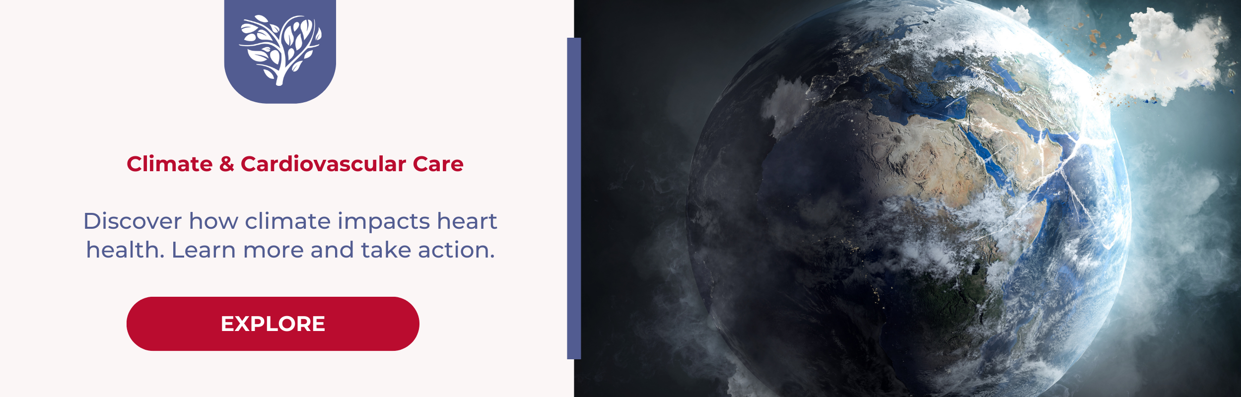 Cardio & Climate