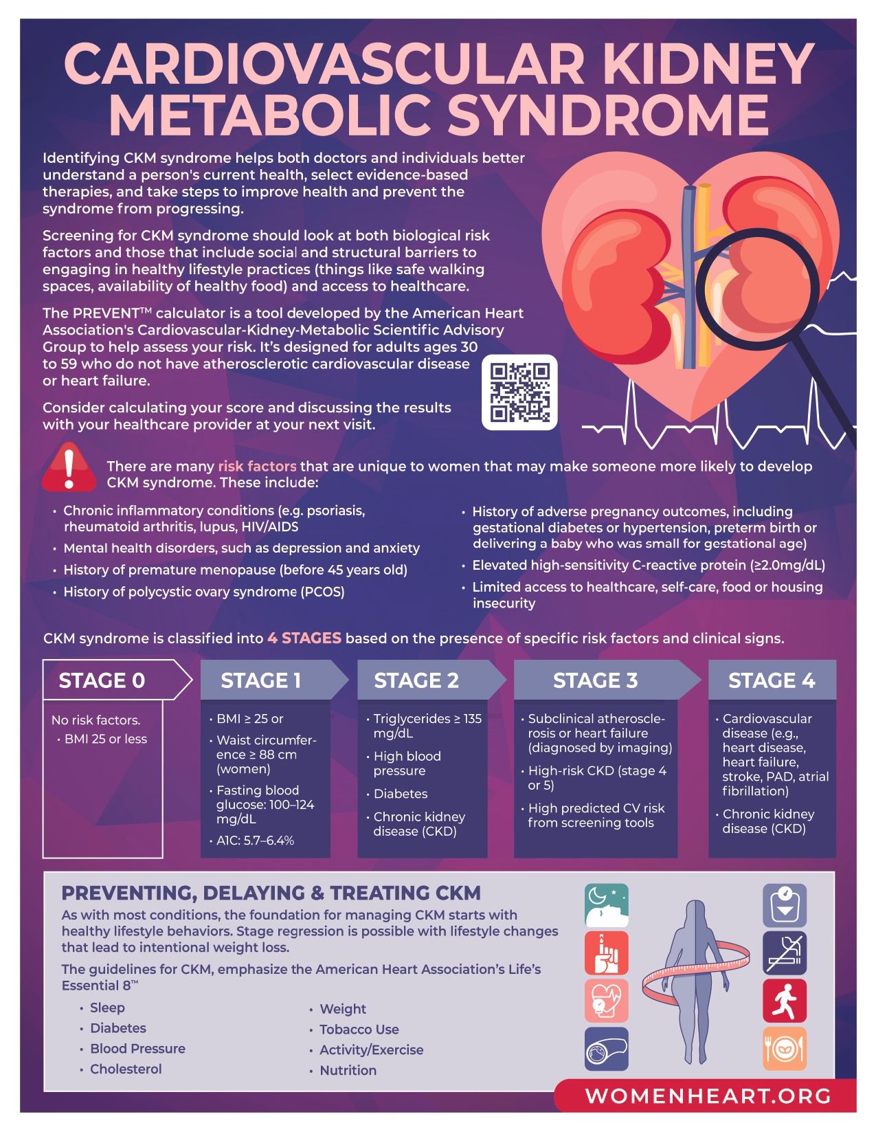 Cardiovascular Kidney Metabolic syndrome